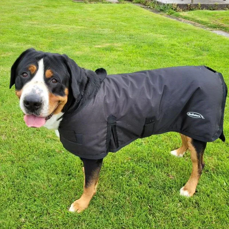 All Seasons Waterproof Dog Coat in Black