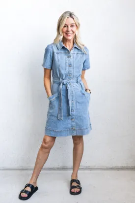 Ari Denim Dress