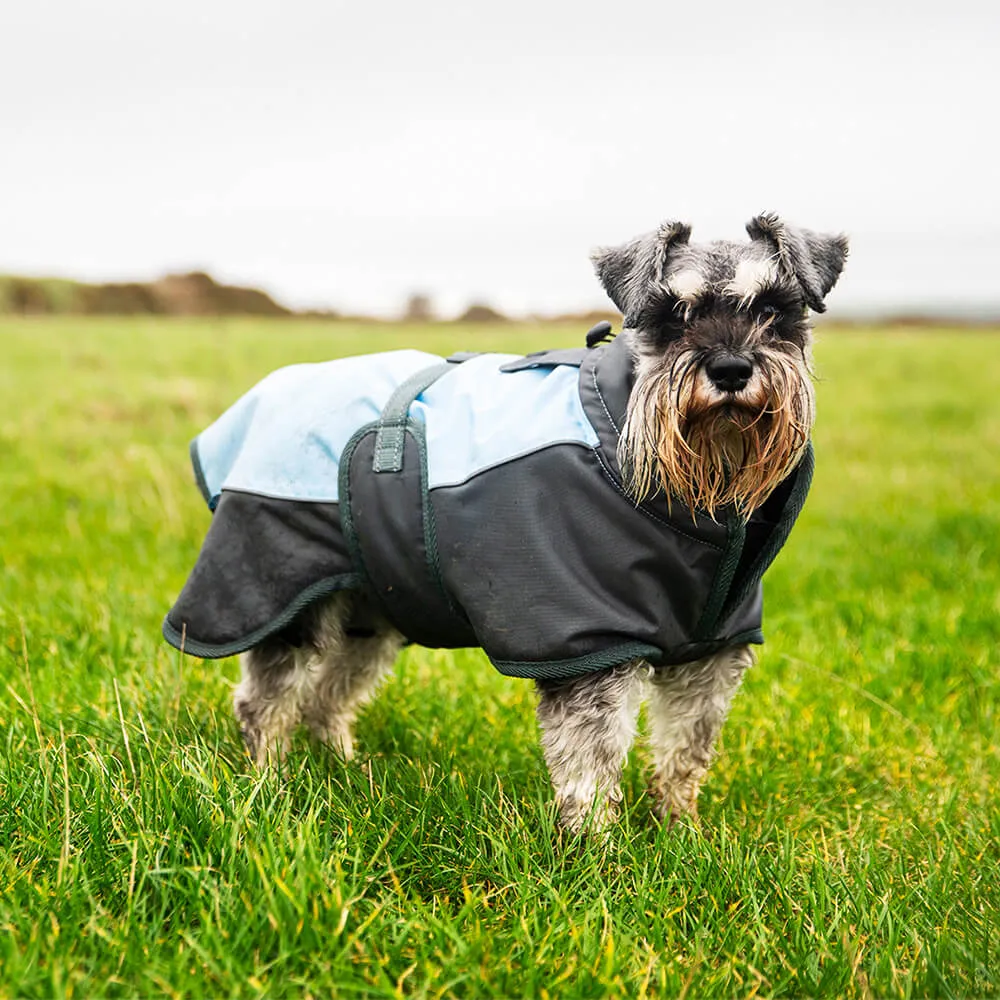 Henry Wag Waterproof Dog Coat