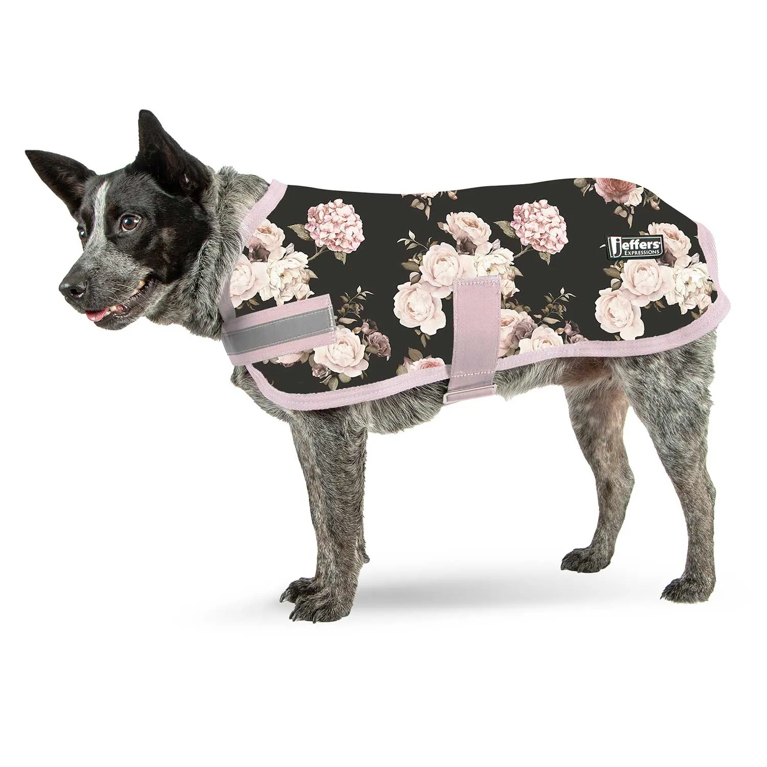 In Stock Now! Jeffers Expression Dog Coat, Rose Garden