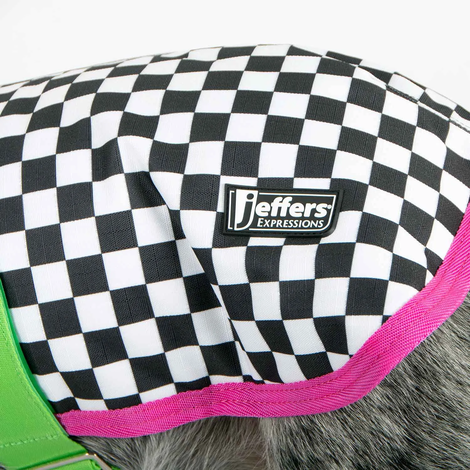 Jeffers Expression Waterproof Ripstop Dog Coat, Skater Pup