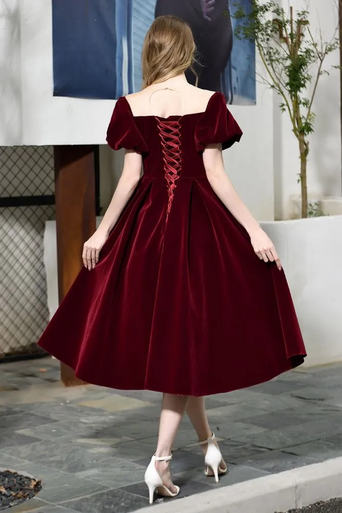 Puff Sleeve Ankle Length  Velvet Daily Casual Dress Deep V-Neck Vintage Party Dress