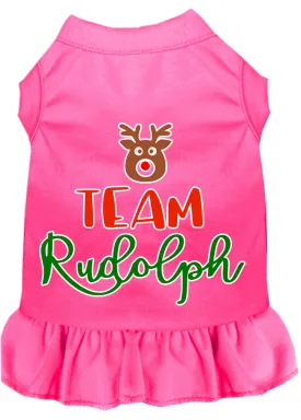 Team Rudolph Screen Print Dog Dress Bright Pink Xxl